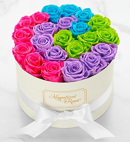 Magnificent Roses® Preserved Neon Swirl